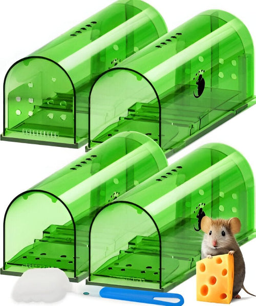4-Pack Mouse Trap - Coldesk