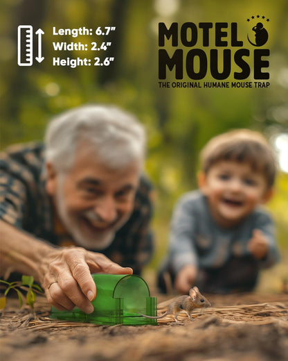 4-Pack Mouse Trap - Coldesk