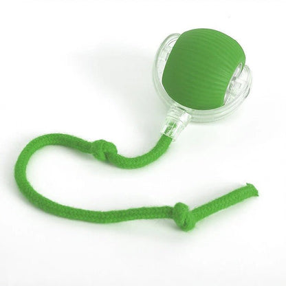 Active Rolling Ball with Tail for Dogs - Coldesk