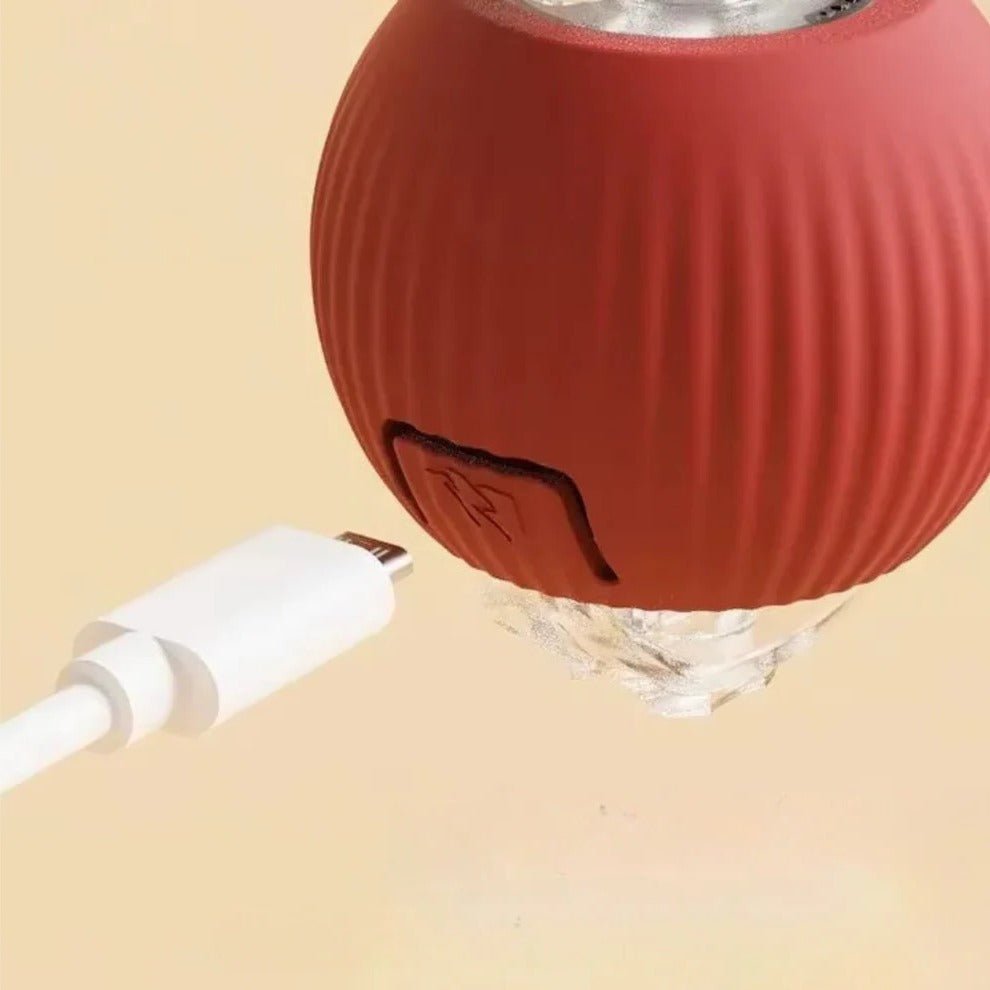 Active Rolling Ball with Tail for Dogs - Coldesk