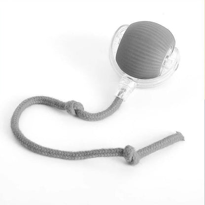 Active Rolling Ball with Tail for Dogs - Coldesk