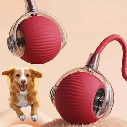 Active Rolling Ball with Tail for Dogs - Coldesk