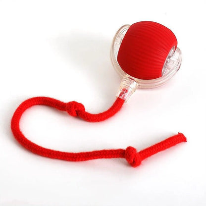 Active Rolling Ball with Tail for Dogs - Coldesk