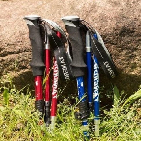 Adjustable Trekking Poles - Foldable Telescopic Pole - Coldesk