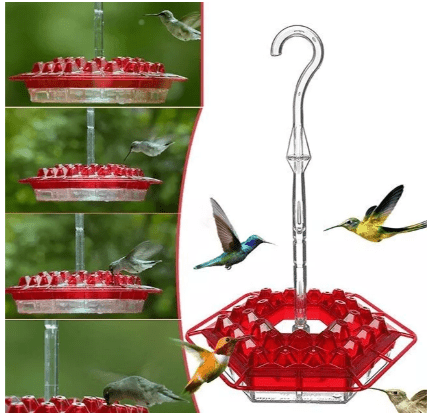 Ant Proof Hummingbird Feeder Outdoor Hanging Perch - Coldesk