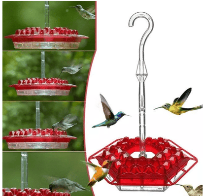 Ant Proof Hummingbird Feeder Outdoor Hanging Perch - Coldesk