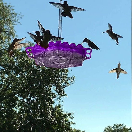 Ant Proof Hummingbird Feeder Outdoor Hanging Perch - Coldesk