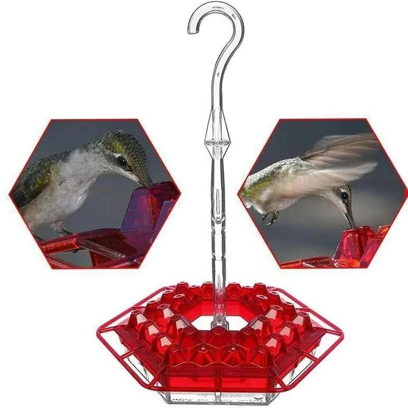 Ant Proof Hummingbird Feeder Outdoor Hanging Perch - Coldesk