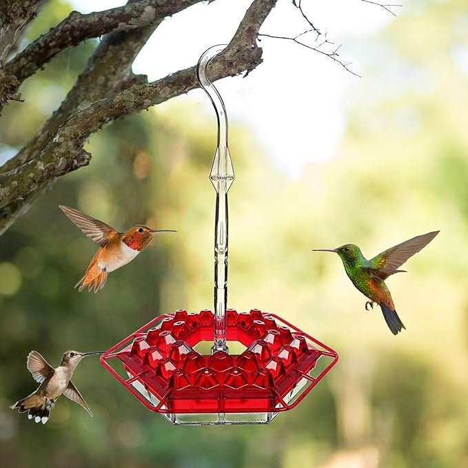 Ant Proof Hummingbird Feeder Outdoor Hanging Perch - Coldesk