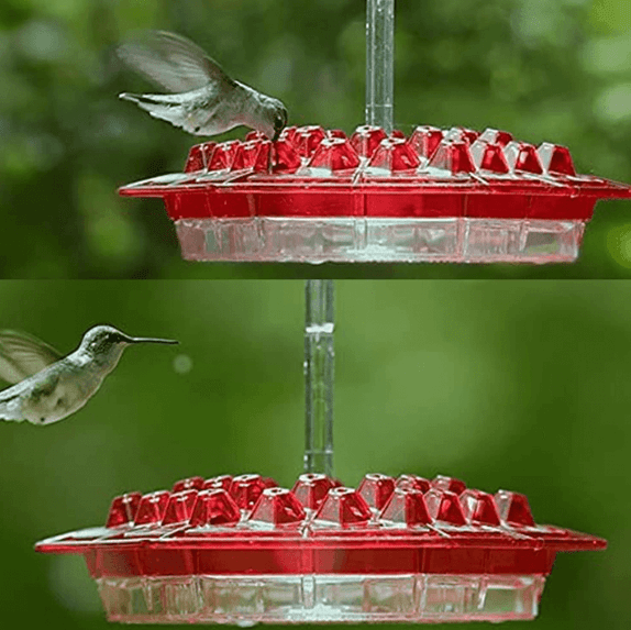 Ant Proof Hummingbird Feeder Outdoor Hanging Perch - Coldesk