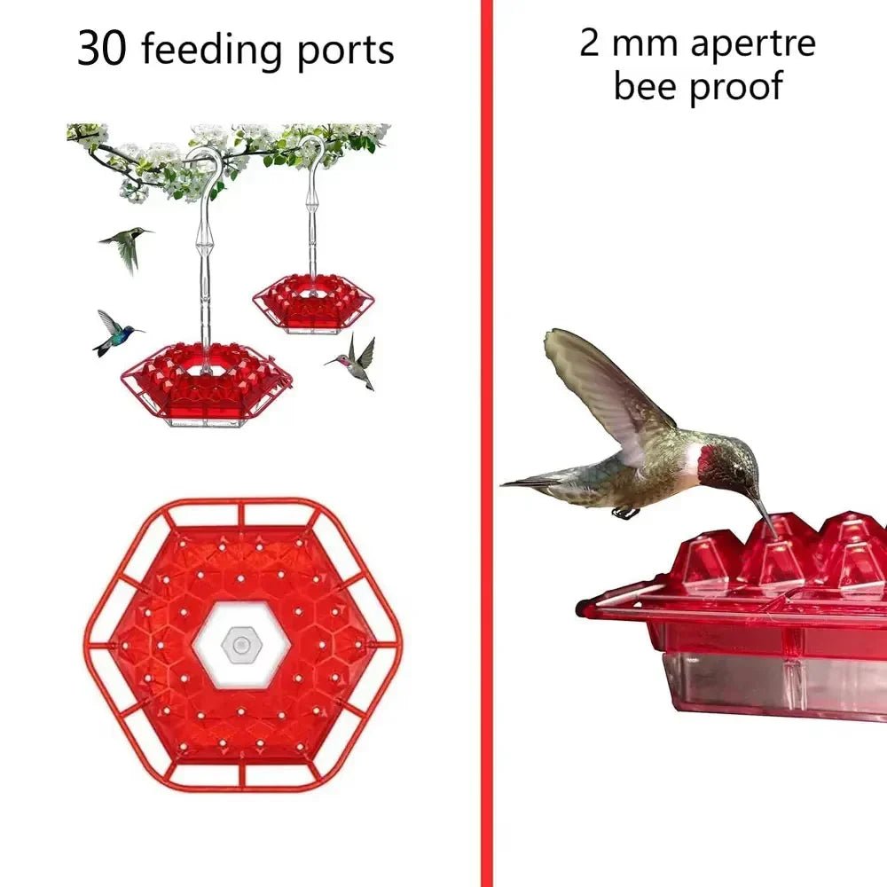 Ant Proof Hummingbird Feeder Outdoor Hanging Perch - Coldesk