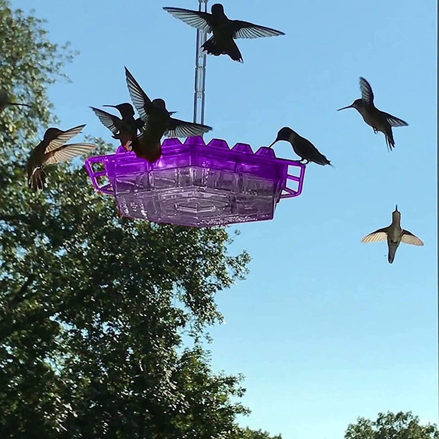 Ant Proof Hummingbird Feeder Outdoor Hanging Perch - Coldesk