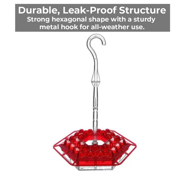 Ant-Proof Hummingbird Feeder with 30 Bee-Resistant Ports - Coldesk