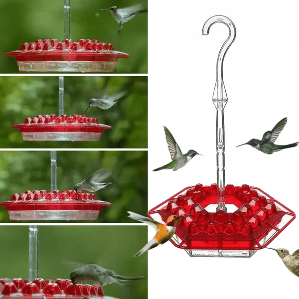 Ant-Proof Hummingbird Feeder with 30 Bee-Resistant Ports - Coldesk