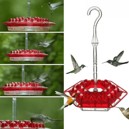 Ant-Proof Hummingbird Feeder with 30 Bee-Resistant Ports - Coldesk