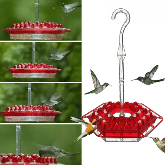 Ant-Proof Hummingbird Feeder with 30 Bee-Resistant Ports - Coldesk