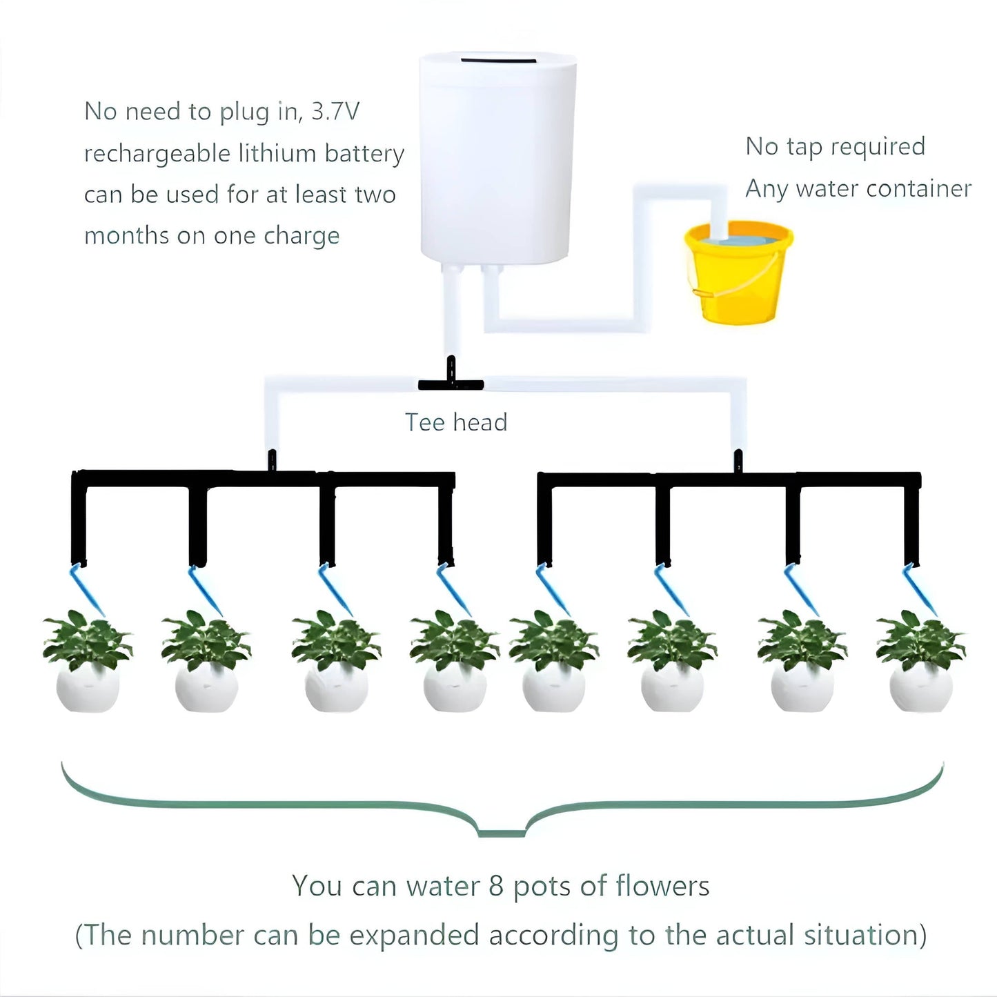 Automatic Watering Pump Controller - Coldesk