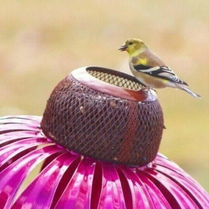 Coneflower Bird Feeder - Coldesk