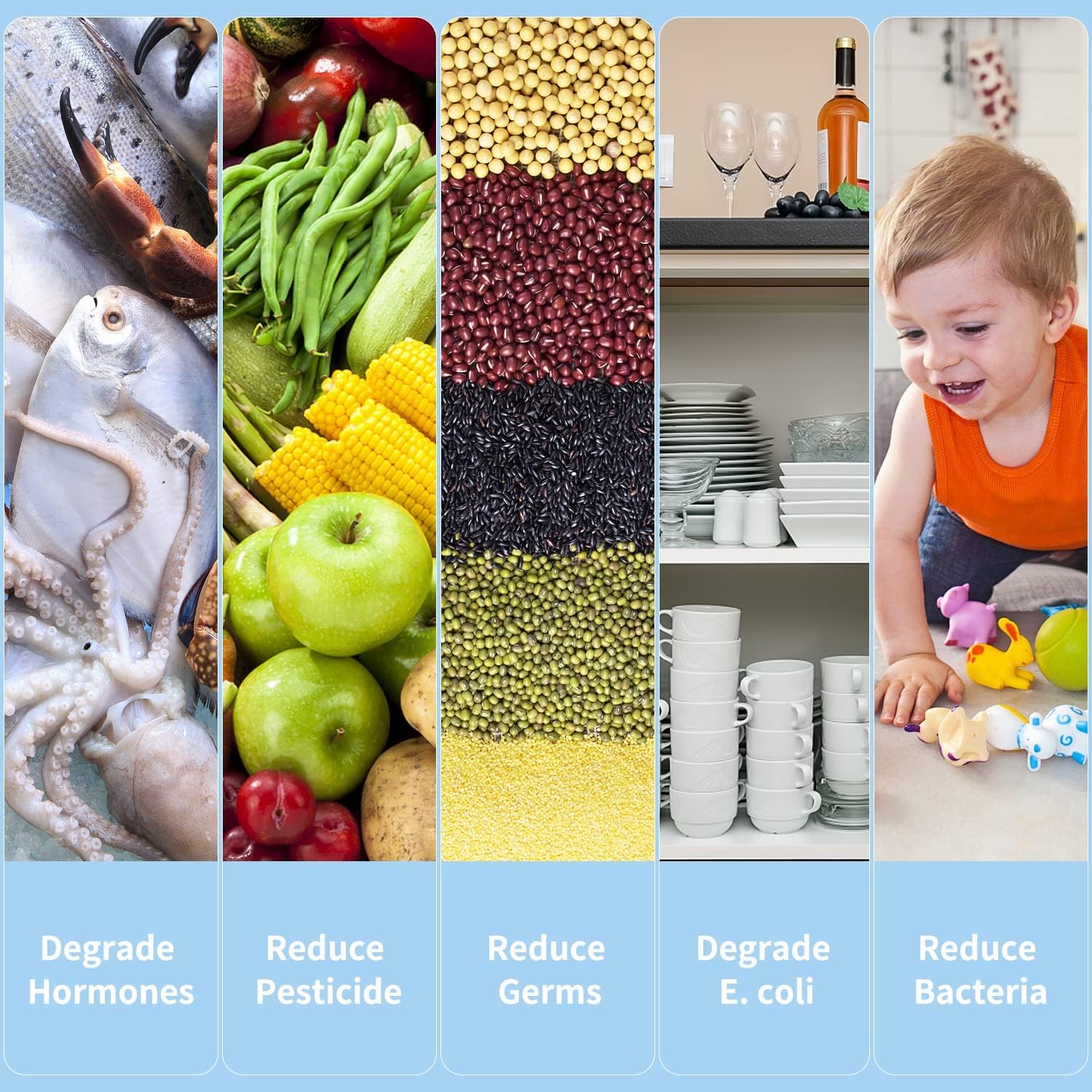 Fruit And Vegetable Washing Machine - Coldesk