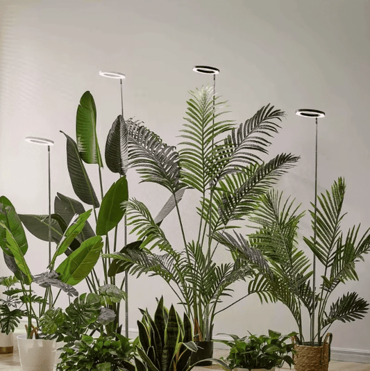Grow Light For Indoor Plants - Coldesk
