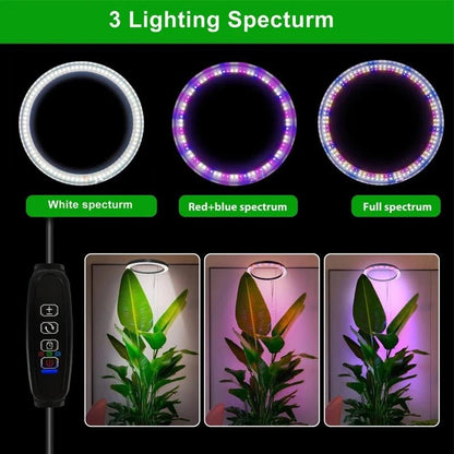 Grow Light For Indoor Plants - Coldesk