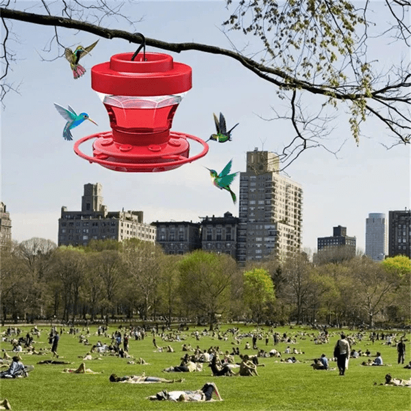 Hanging Bee Proof Hummingbird Water Feeders with Perch - Coldesk