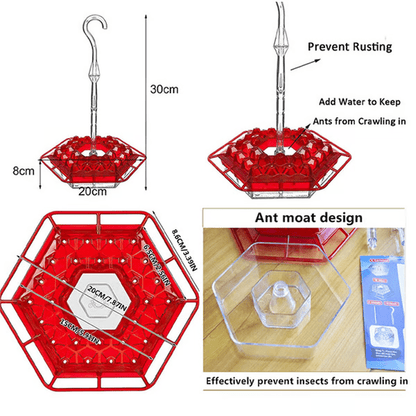 Hummingbird Feeder With Built-In Ant Moat - Coldesk