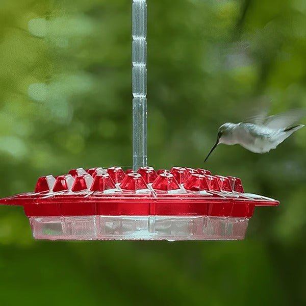 Hummingbird Feeder With Built-In Ant Moat - Coldesk