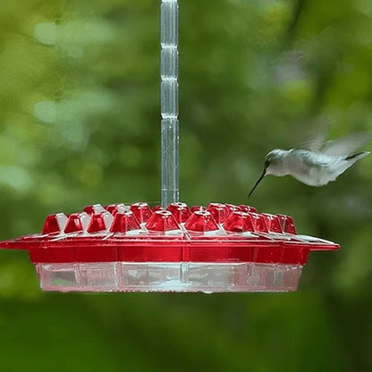 Hummingbird Feeder With Built-In Ant Moat - Coldesk