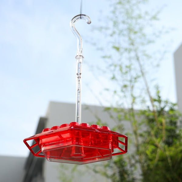 Hummingbird Feeder With Built-In Ant Moat - Coldesk