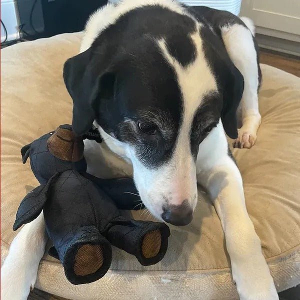 Indestructible & Interactive Bear Dog Toys For Heavy Chewers - Coldesk