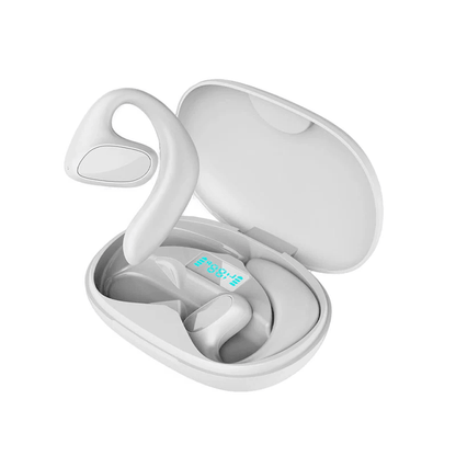 Language Translator Earbuds - Coldesk