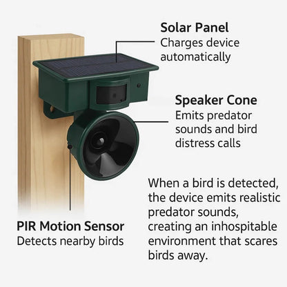 Motion Sensor Bird Deterrent for Crows: Ideal Pigeon Repeller with Sound Scarer - Coldesk