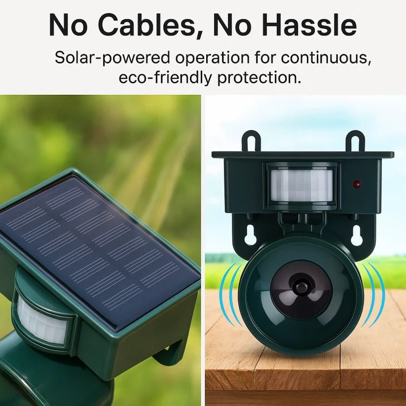 Motion Sensor Bird Deterrent for Crows: Ideal Pigeon Repeller with Sound Scarer - Coldesk