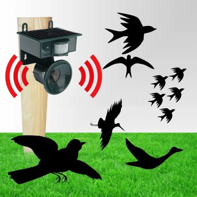 Motion Sensor Bird Deterrent for Crows: Ideal Pigeon Repeller with Sound Scarer - Coldesk