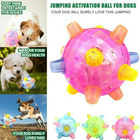 New Jumping Activation Ball For Dogs - Coldesk