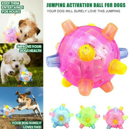 New Jumping Activation Ball For Dogs - Coldesk