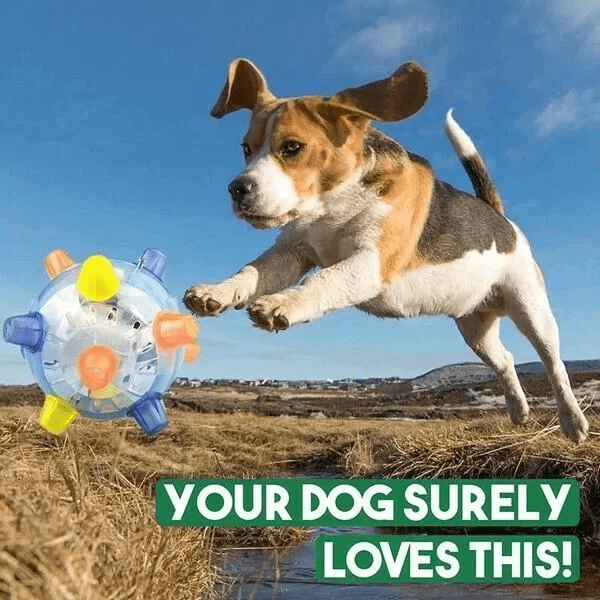 New Jumping Activation Ball For Dogs - Coldesk