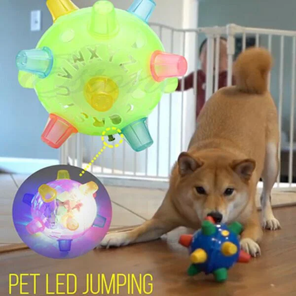 New Jumping Activation Ball For Dogs - Coldesk