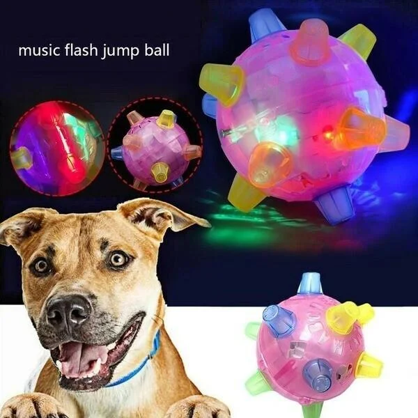 New Jumping Activation Ball For Dogs - Coldesk