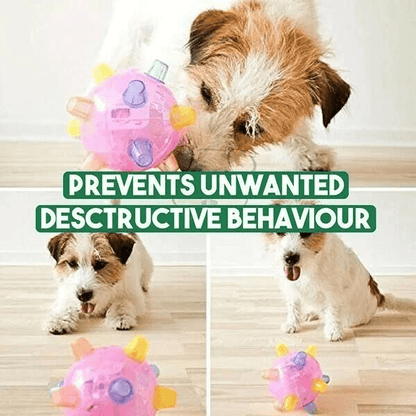 New Jumping Activation Ball For Dogs - Coldesk