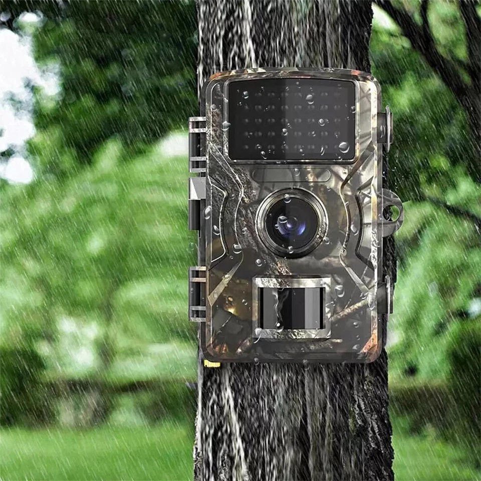 Night Vision Outdoor Wildlife Animal Camera - Coldesk