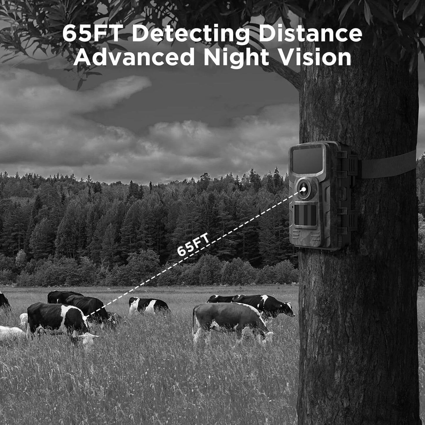 Night Vision Outdoor Wildlife Animal Camera - Coldesk