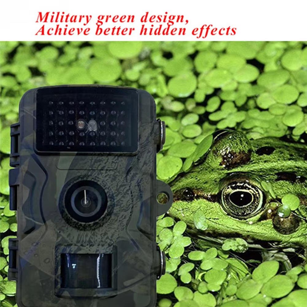 Night Vision Outdoor Wildlife Animal Camera - Coldesk