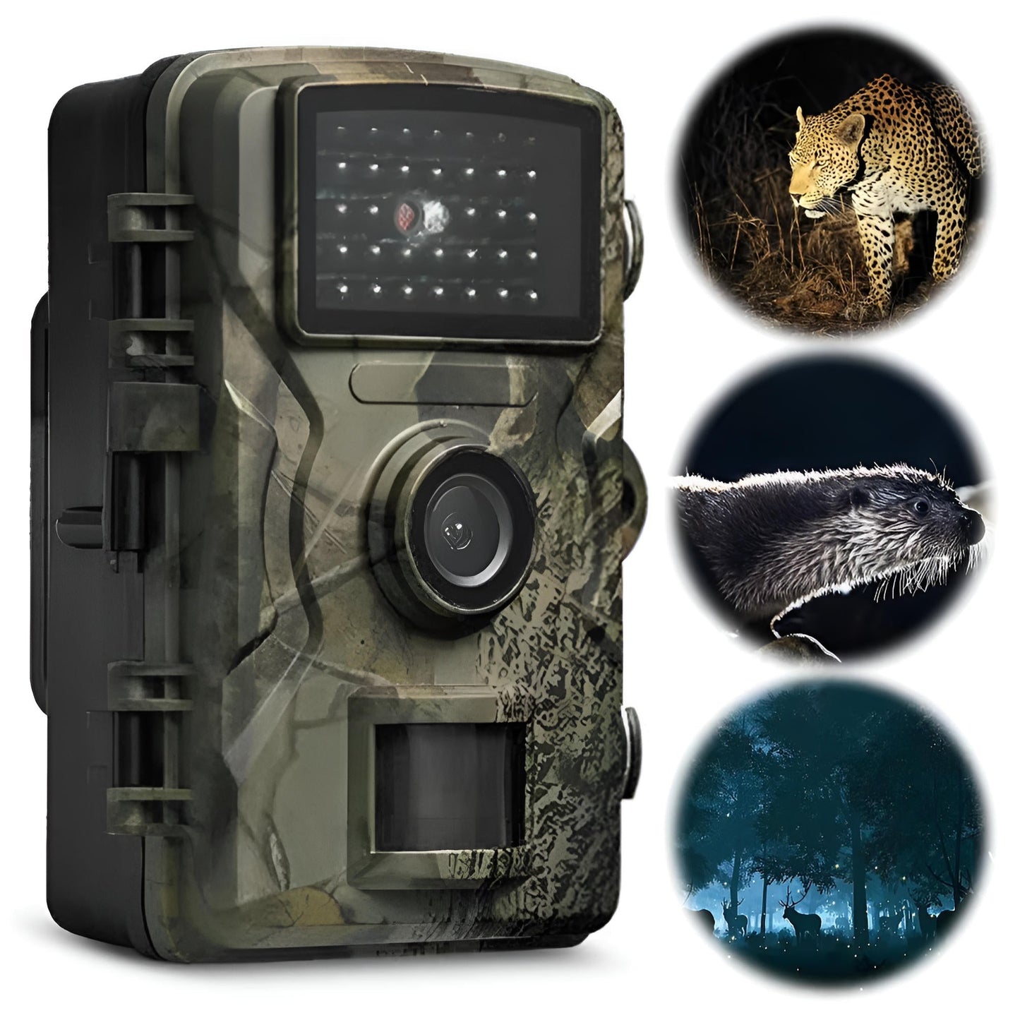 Night Vision Outdoor Wildlife Animal Camera - Coldesk