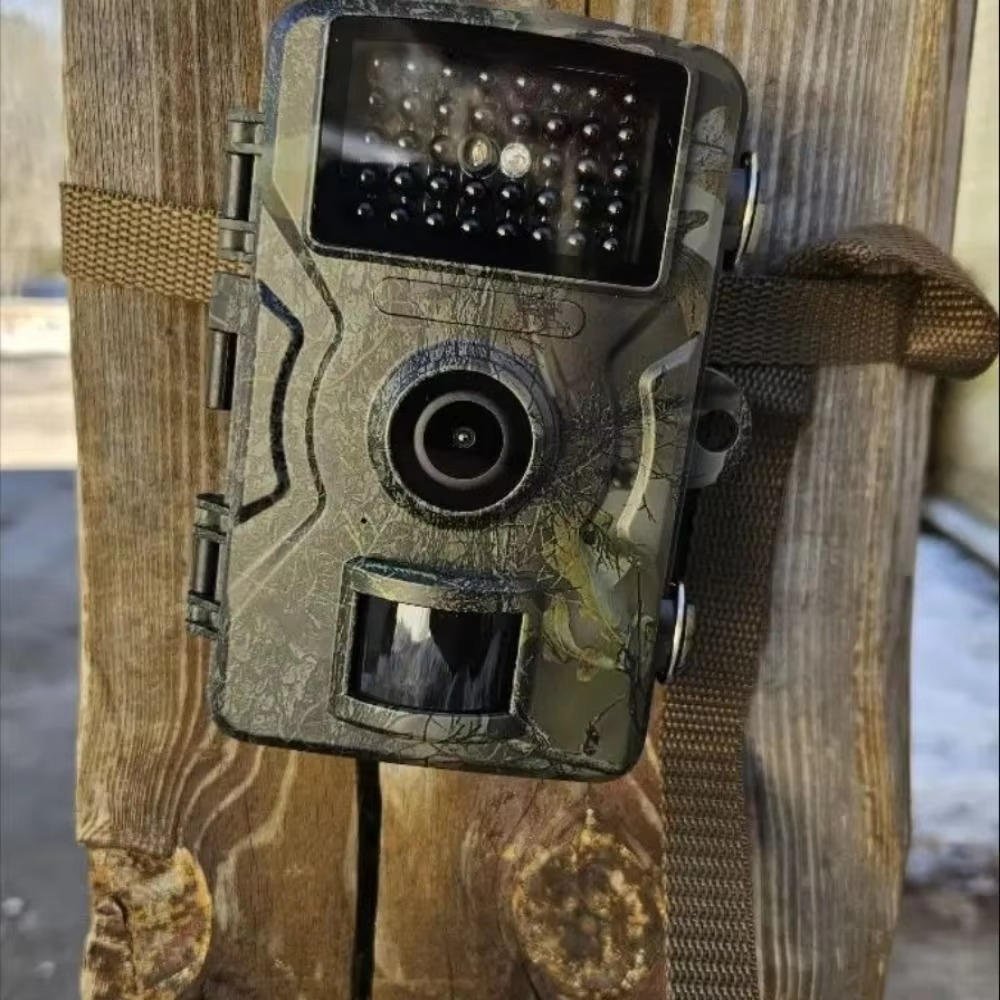 Night Vision Outdoor Wildlife Animal Camera - Coldesk