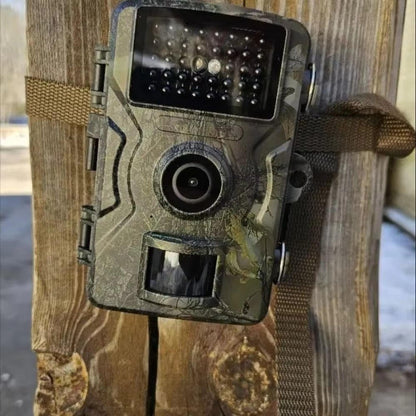 Night Vision Outdoor Wildlife Animal Camera - Coldesk