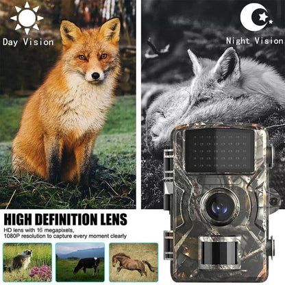 Night Vision Outdoor Wildlife Animal Camera - Coldesk