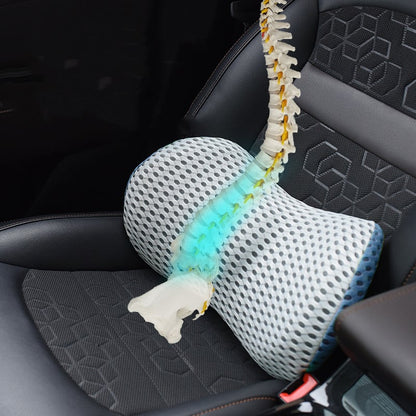 Orthopaedic Lumbar Support Cushion - Coldesk