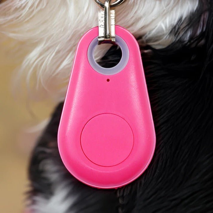 Pets Smart Waterproof GPS Tracker - Coldesk